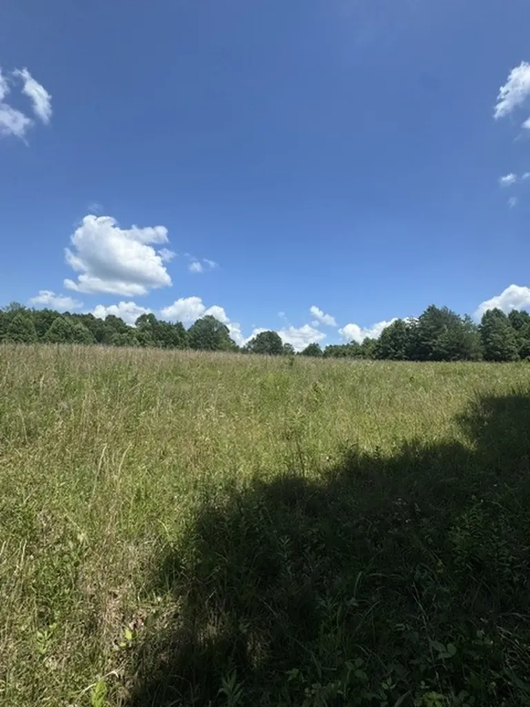0 Claude Hargis Lane Crawford TN 38554