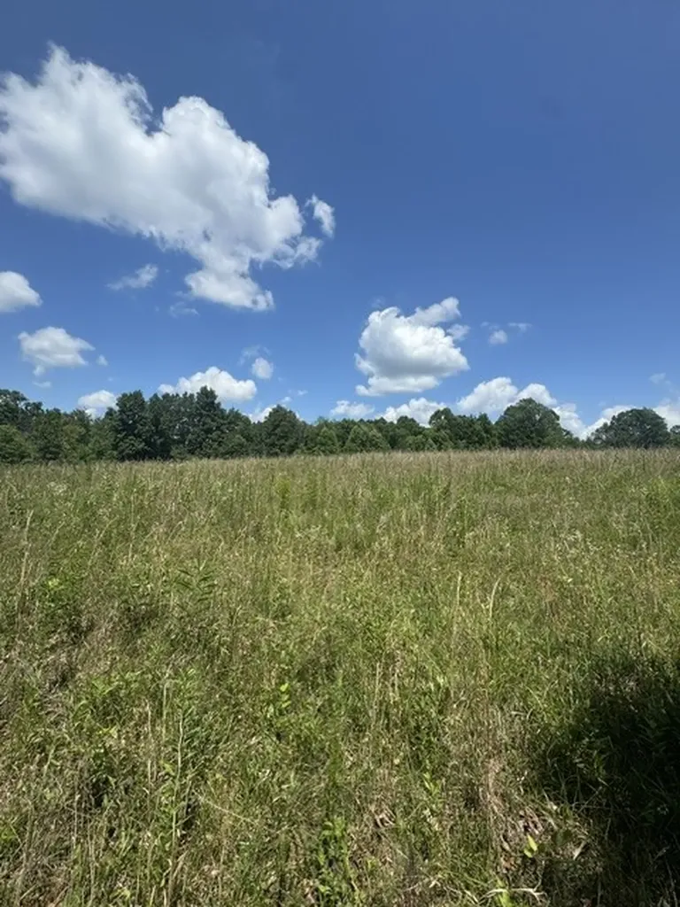 0 Claude Hargis Lane Crawford TN 38554