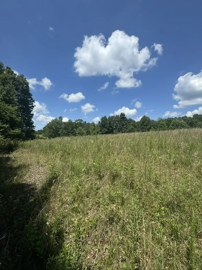 0 Claude Hargis Lane Crawford TN 38554