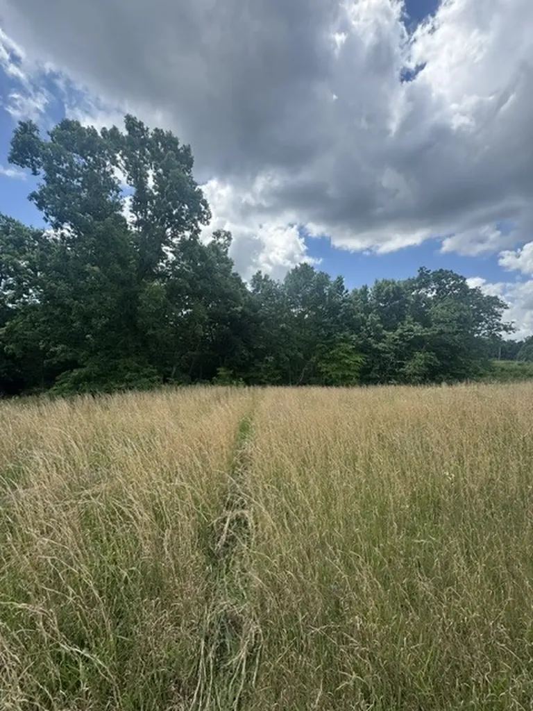 0 East Fork Lane Crawford TN 38554