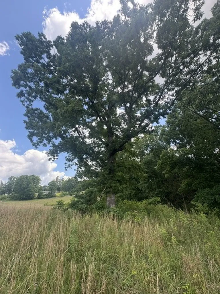 0 East Fork Lane Crawford TN 38554