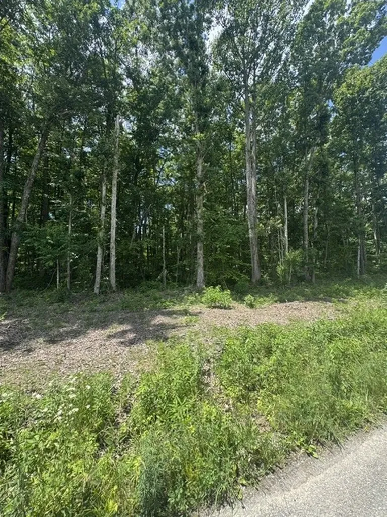 0 East Fork Lane Crawford TN 38554