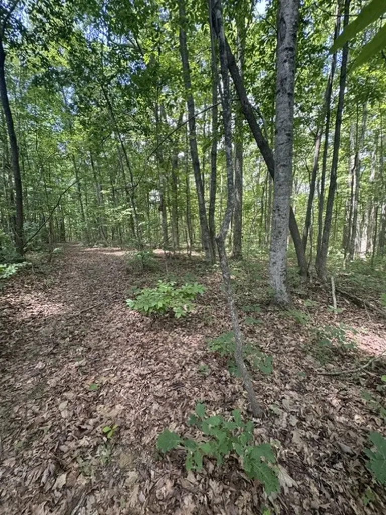 0 East Fork Lane Crawford TN 38554