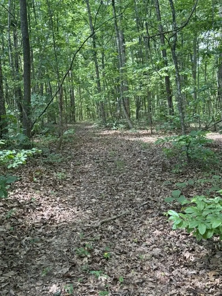 0 East Fork Lane Crawford TN 38554