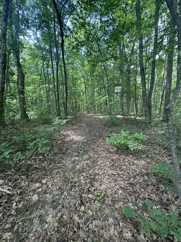 0 East Fork Lane Crawford TN 38554