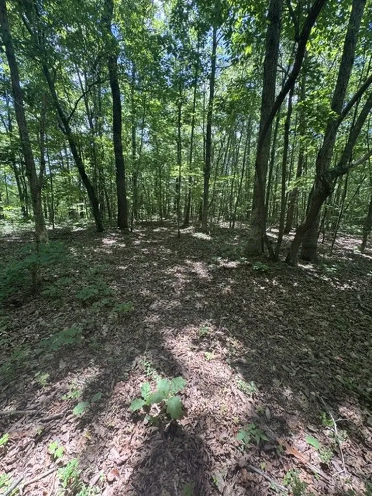 0 East Fork Lane Crawford TN 38554
