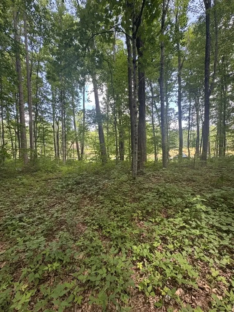 0 East Fork Lane Crawford TN 38554