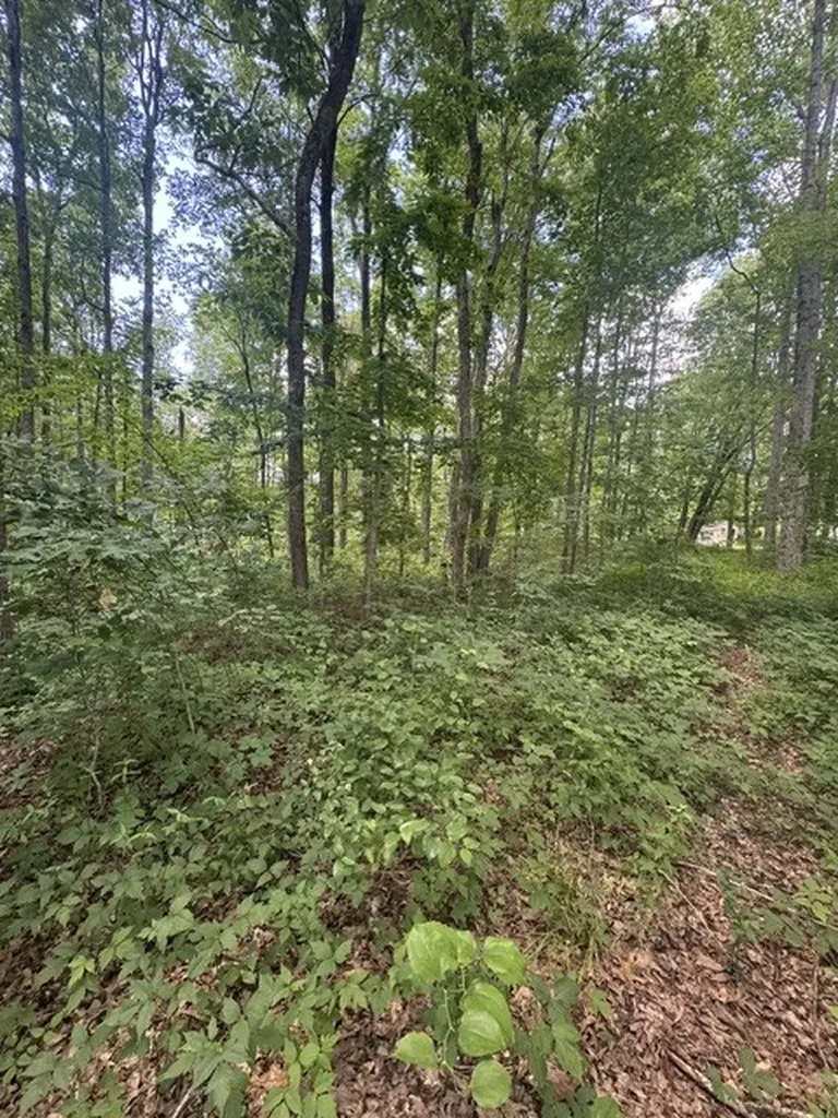 0 East Fork Lane Crawford TN 38554