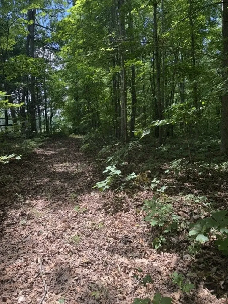 0 East Fork Lane Crawford TN 38554