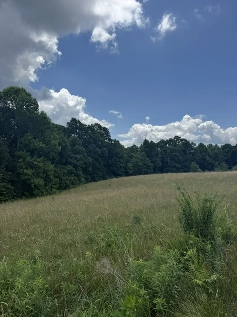 0 East Fork Lane Crawford TN 38554