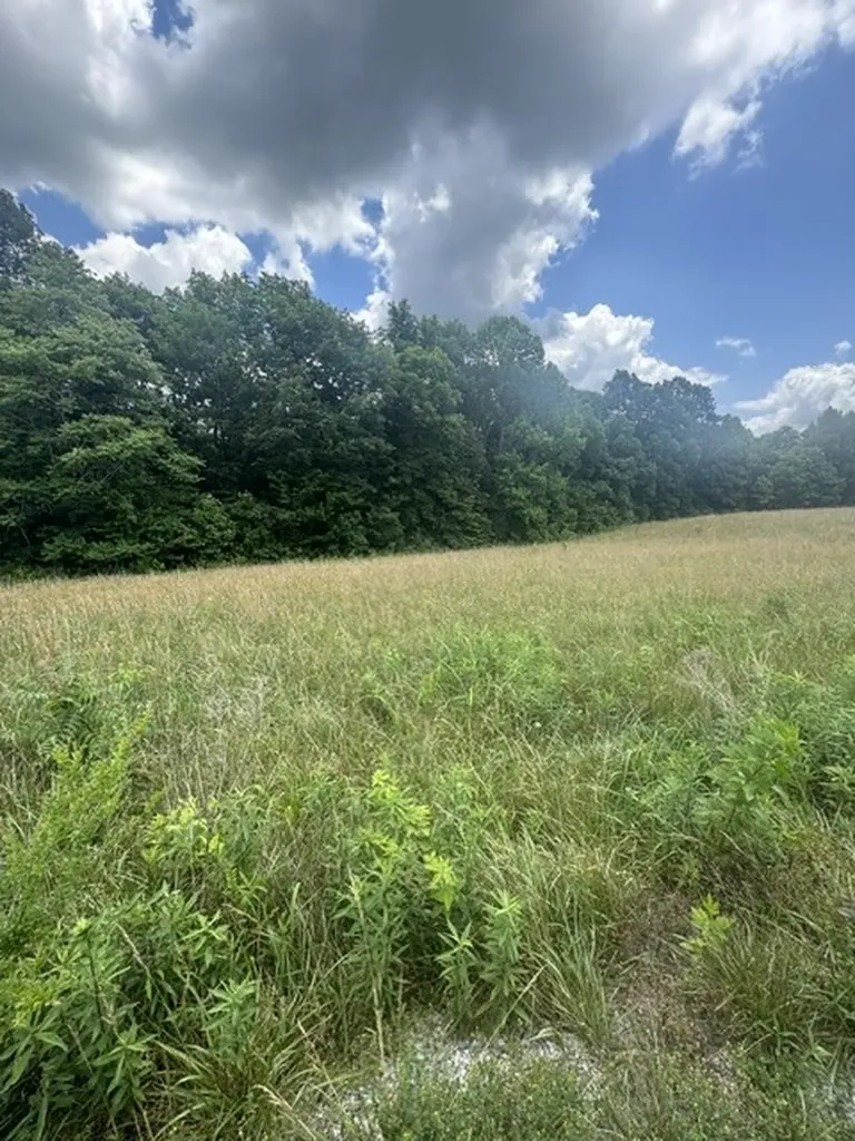 0 East Fork Lane Crawford TN 38554