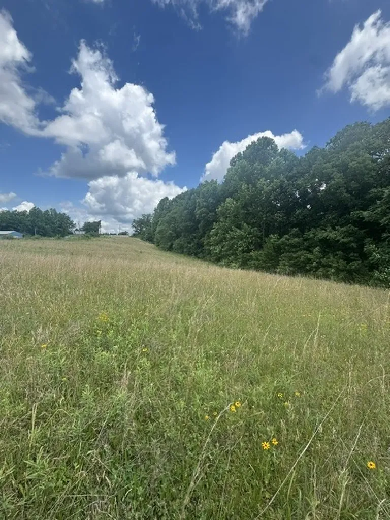 0 East Fork Lane Crawford TN 38554