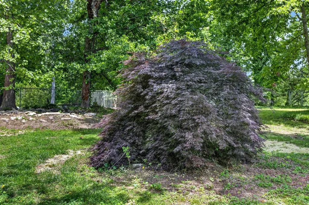 8920 Birchwood Pike Harrison TN 37341