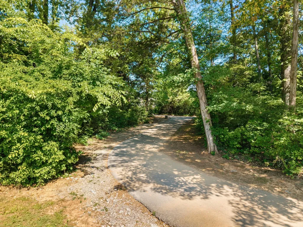6633 Tulip Tree Drive Murfreesboro TN 37128