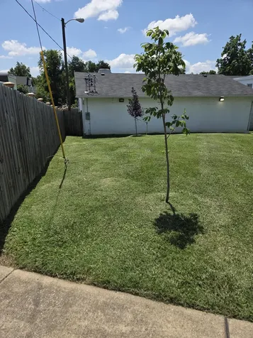 1503 Buchanan Street Nashville TN 37208