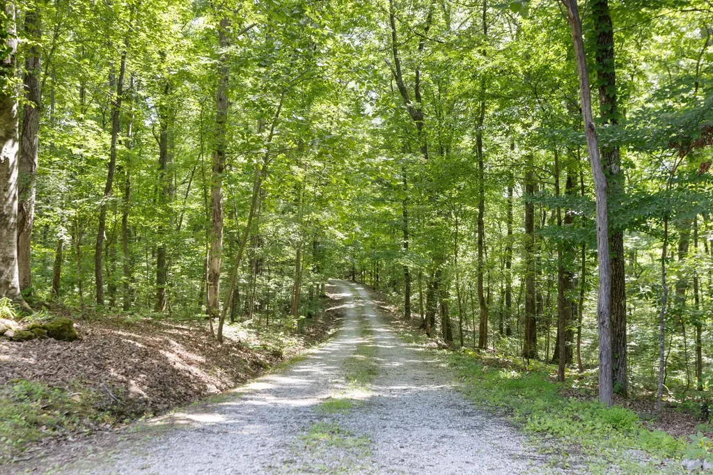 1065 Lee Greer Road Ashland City TN 37015