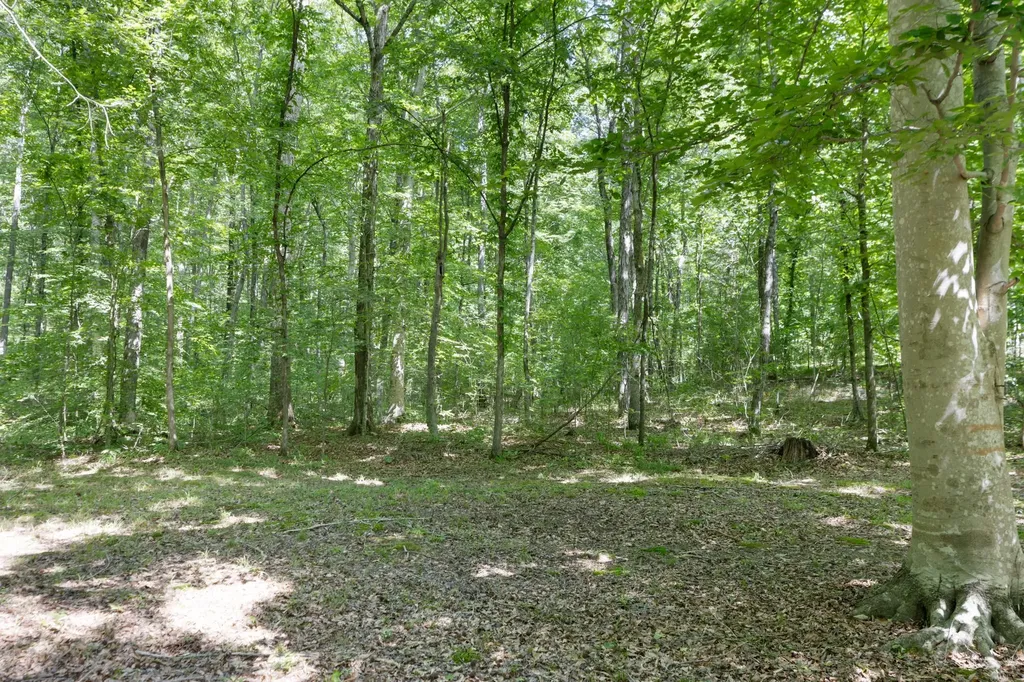 1065 Lee Greer Road Ashland City TN 37015