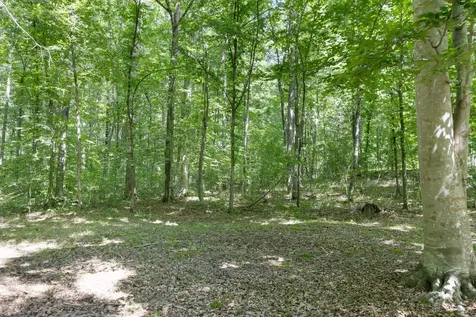 1065 Lee Greer Road Ashland City TN 37015