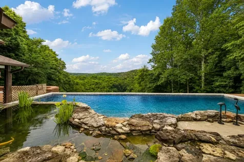 18385 Mccaleb Lane Primm Springs TN 38476