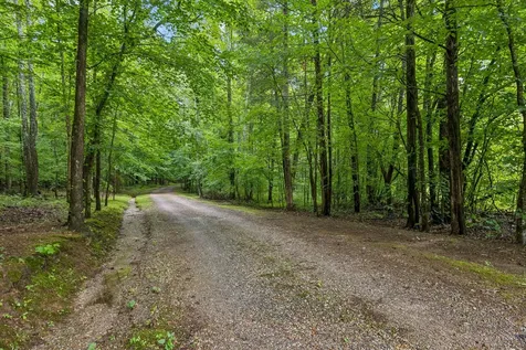 18385 Mccaleb Lane Primm Springs TN 38476
