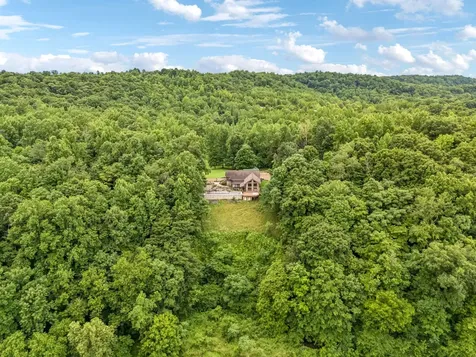 18385 Mccaleb Lane Primm Springs TN 38476