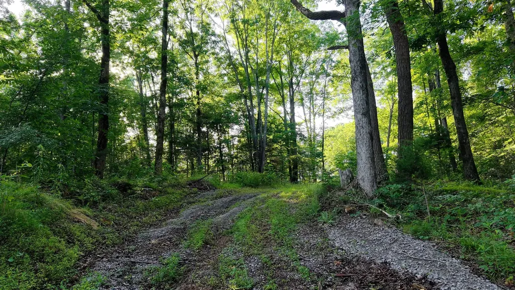 0 Gimlet Creek Road Lawrenceburg TN 38464