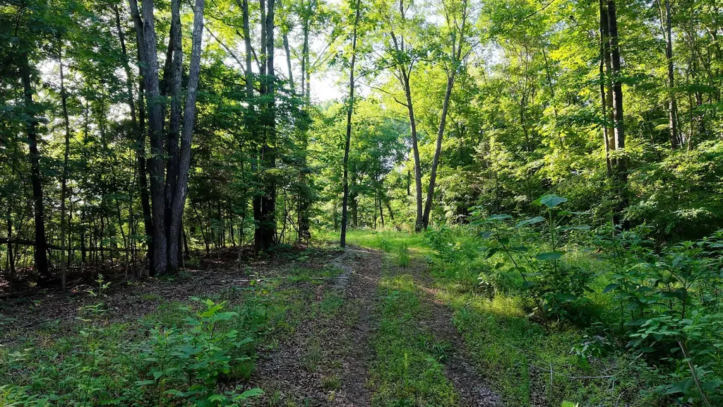 0 Gimlet Creek Road Lawrenceburg TN 38464
