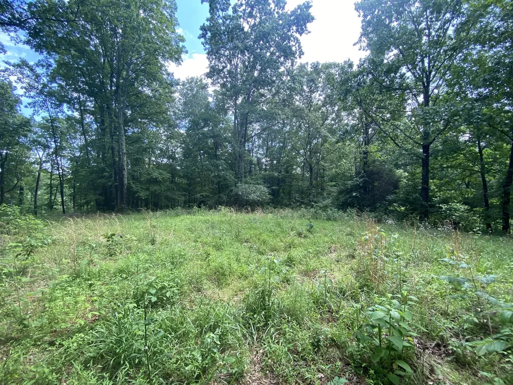 0 Gimlet Creek Road Lawrenceburg TN 38464