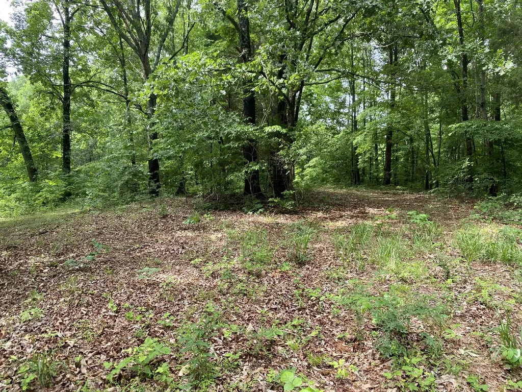 0 Gimlet Creek Road Lawrenceburg TN 38464