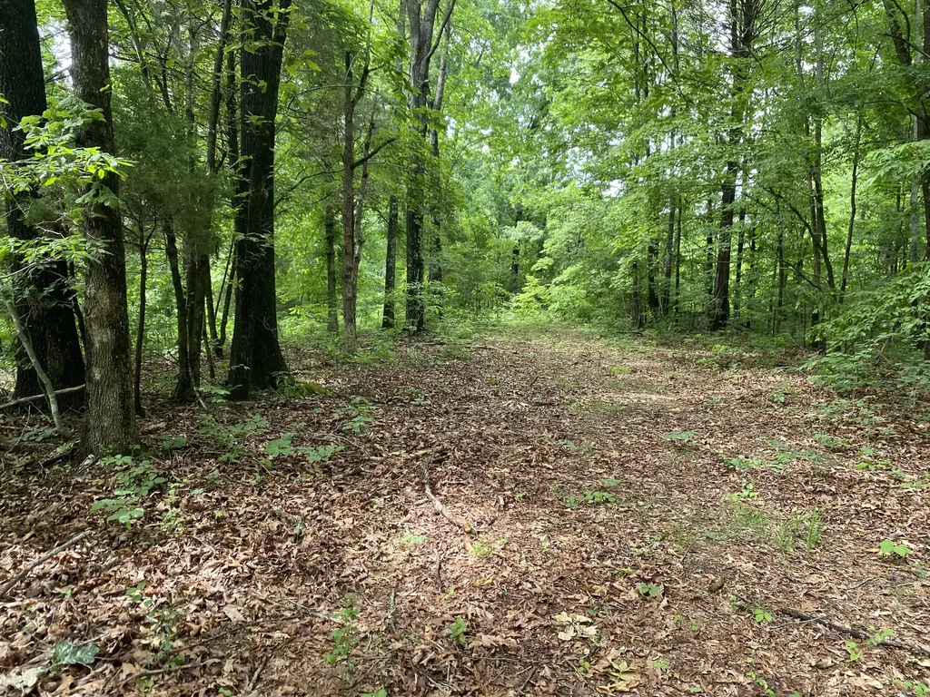 0 Gimlet Creek Road Lawrenceburg TN 38464