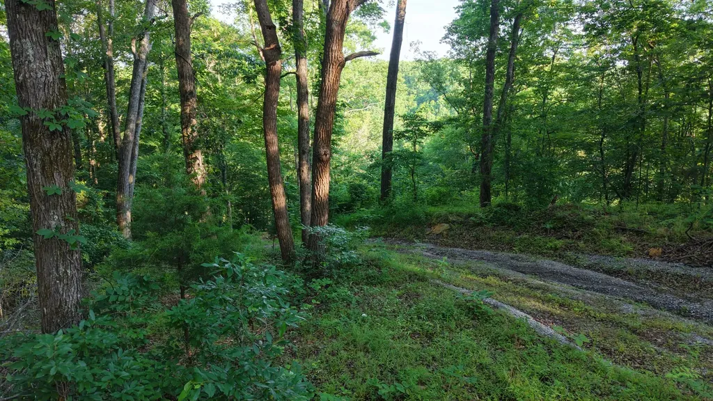 0 Gimlet Creek Road Lawrenceburg TN 38464