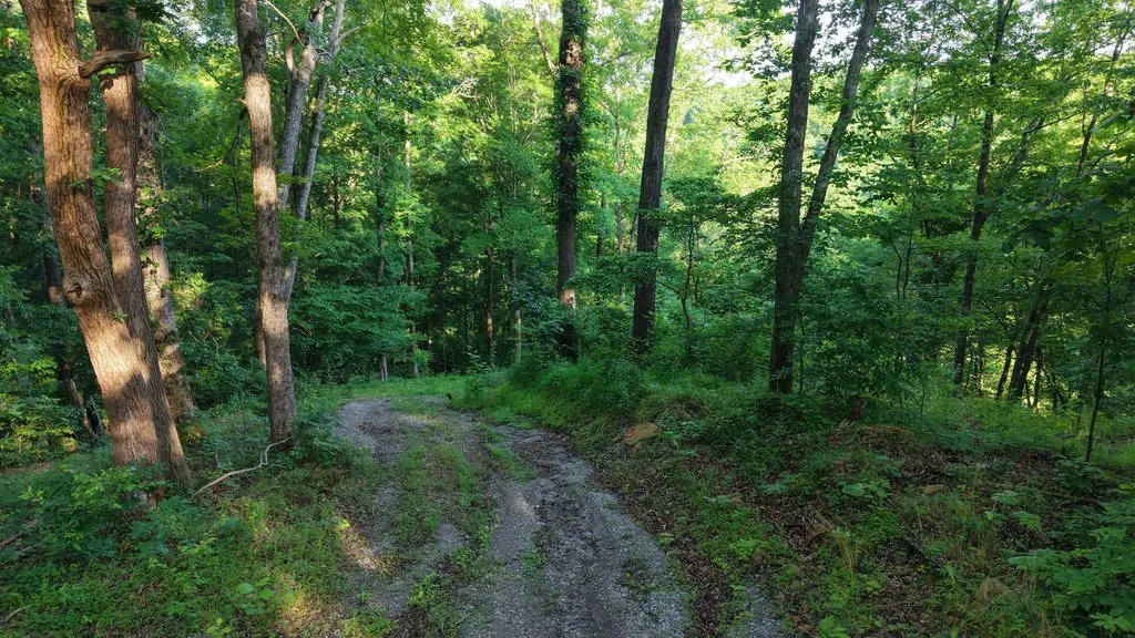 0 Gimlet Creek Road Lawrenceburg TN 38464