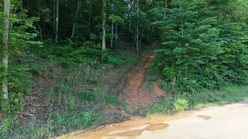 0 Gimlet Creek Road Lawrenceburg TN 38464