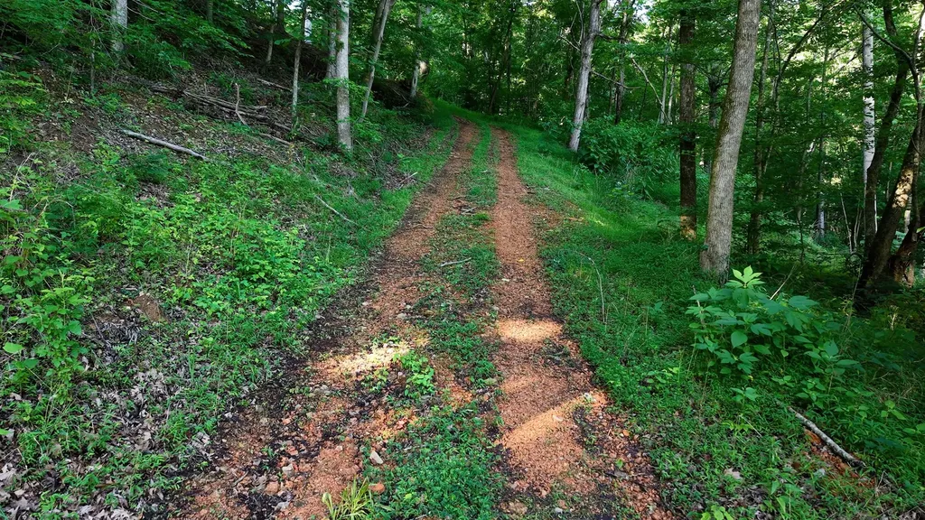 0 Gimlet Creek Road Lawrenceburg TN 38464
