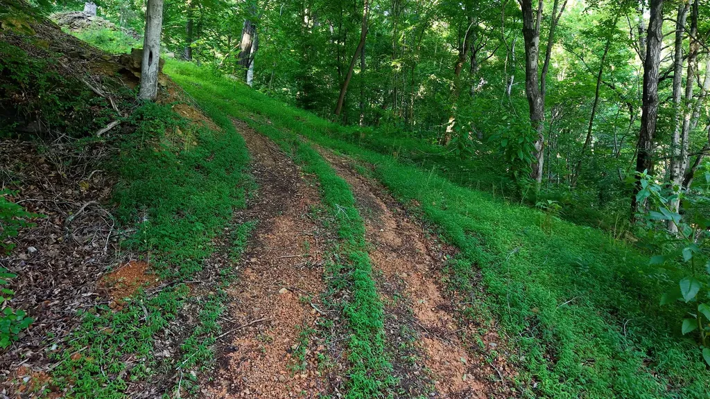0 Gimlet Creek Road Lawrenceburg TN 38464