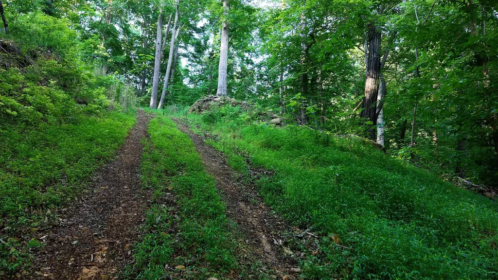 0 Gimlet Creek Road Lawrenceburg TN 38464
