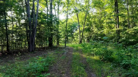 0 Gimlet Creek Road Lawrenceburg TN 38464