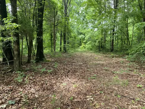 0 Gimlet Creek Road Lawrenceburg TN 38464