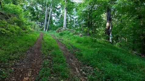 0 Gimlet Creek Road Lawrenceburg TN 38464