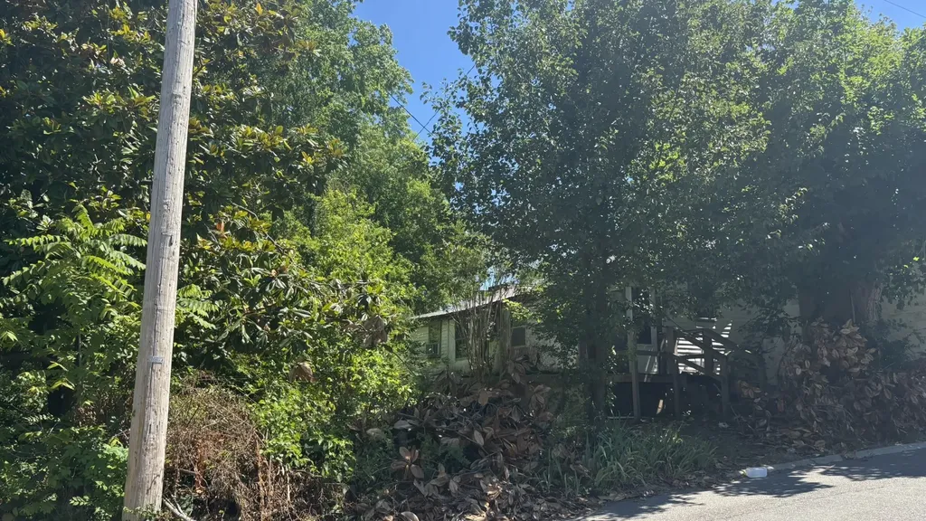 2089 Leota Street Springfield TN 37172