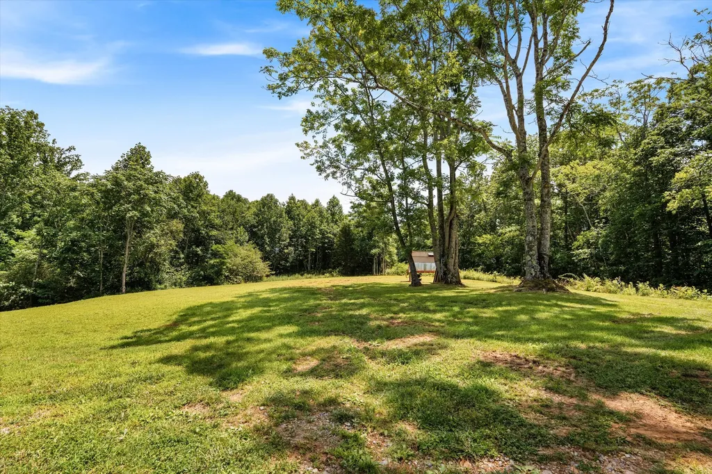 6231 Freudman Road Whites Creek TN 37189