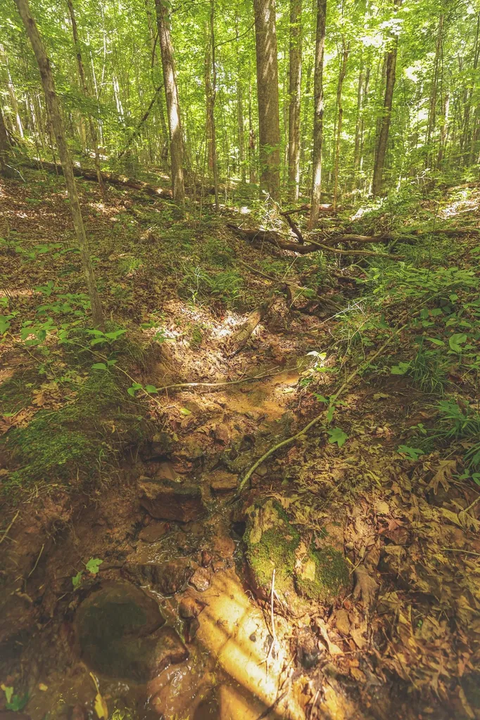 0 Long Fork Creek Road Spencer TN 38585