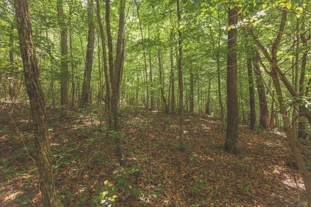 0 Long Fork Creek Road Spencer TN 38585