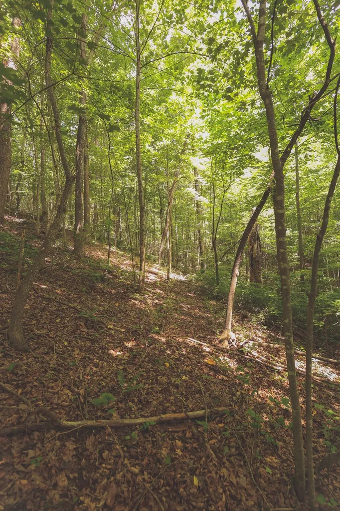 0 Long Fork Creek Road Spencer TN 38585