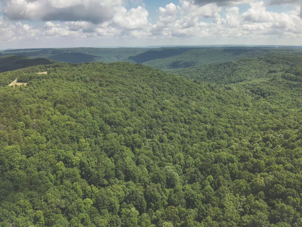 0 Long Fork Creek Road Spencer TN 38585