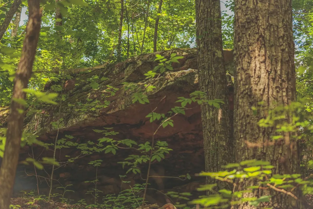0 Long Fork Creek Road Spencer TN 38585