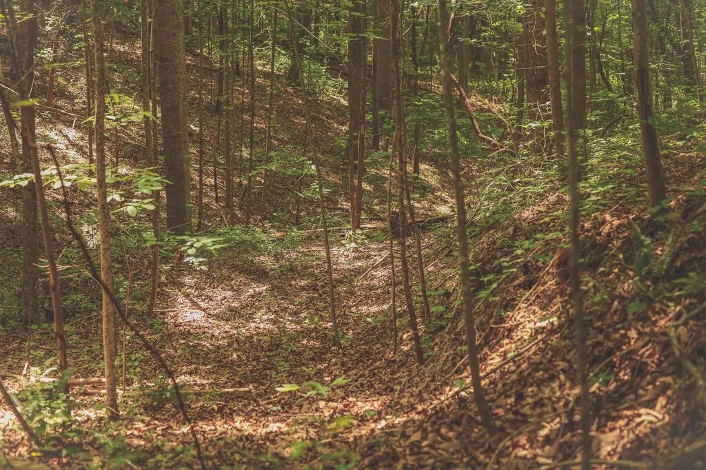 0 Long Fork Creek Road Spencer TN 38585