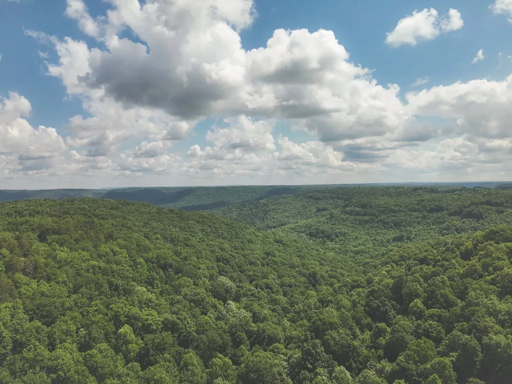 0 Long Fork Creek Road Spencer TN 38585