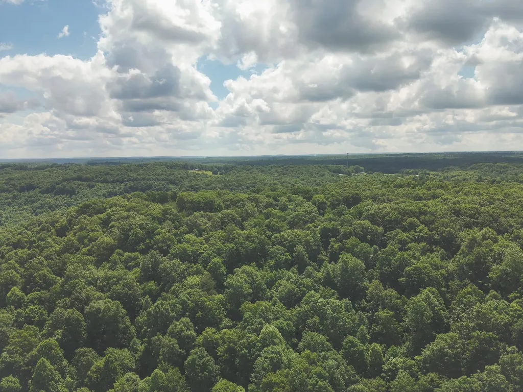 0 Long Fork Creek Road Spencer TN 38585