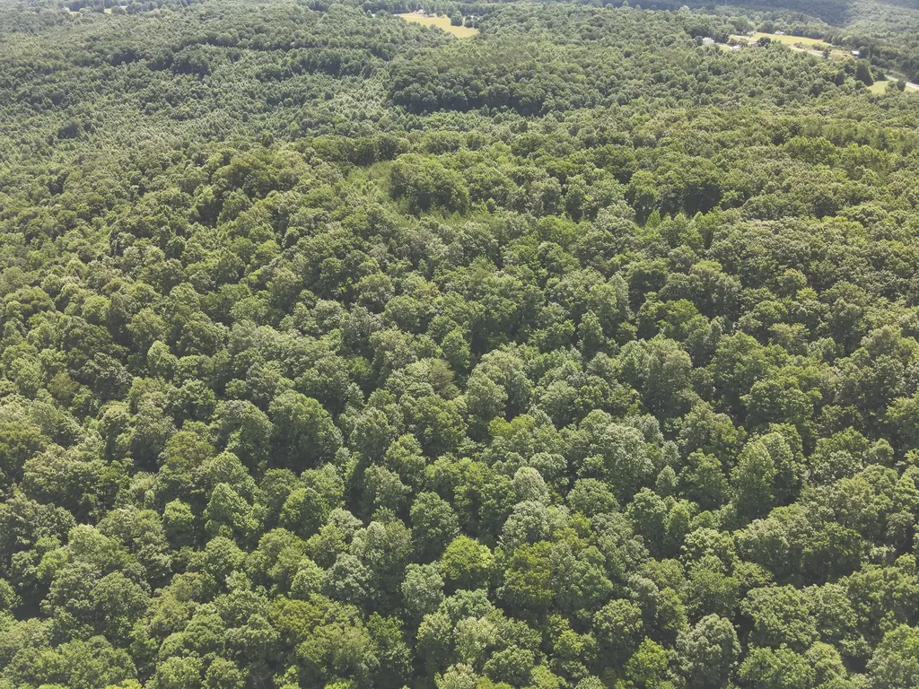 0 Long Fork Creek Road Spencer TN 38585
